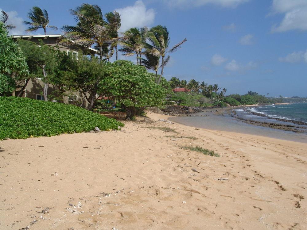 Castle Kauai Kailani Appartement Kapa'a Buitenkant foto