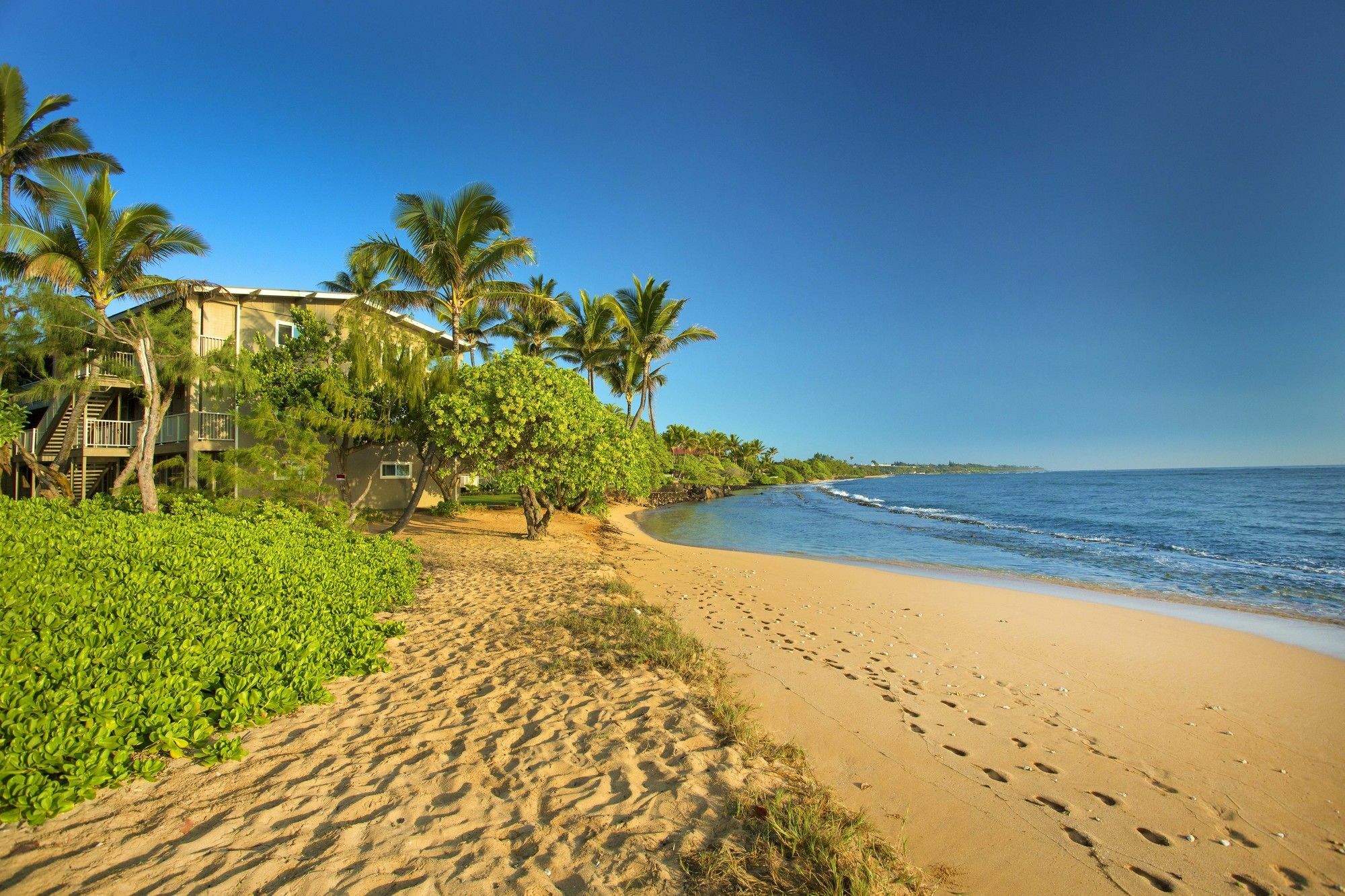 Castle Kauai Kailani Appartement Kapa'a Buitenkant foto